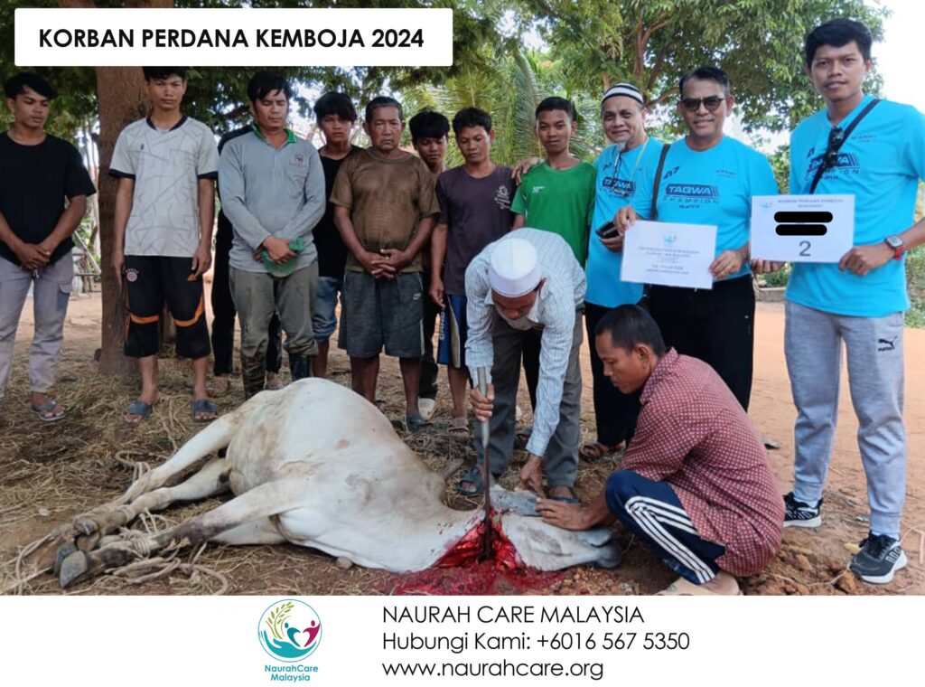 Naurah Care Malaysia – Misi Korban Kemboja 2024 – 190624 – Lembu 2 – 3